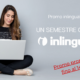 Un semestre con inlingua